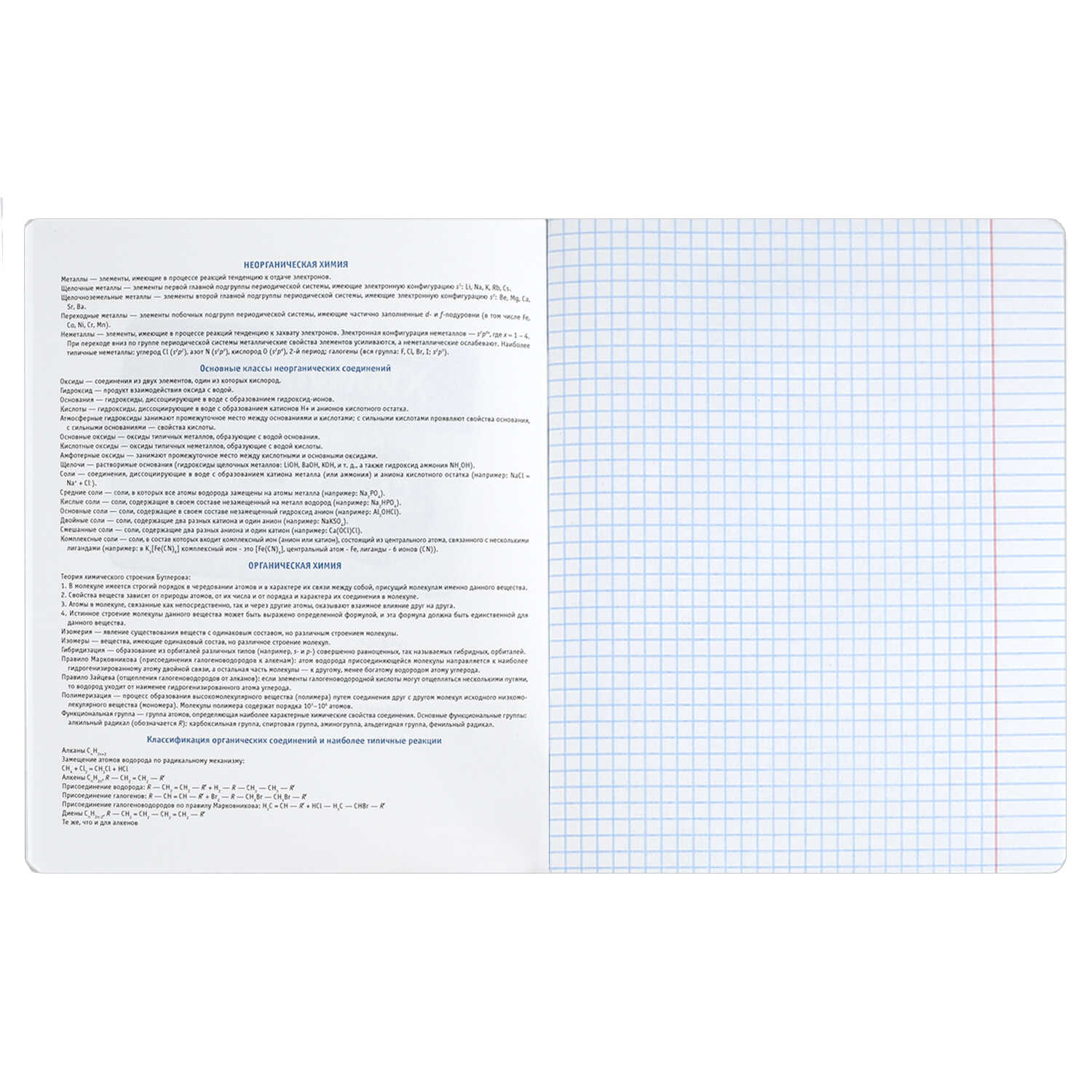 Тетрадь Феникс + 48 лист. 10 шт. (Алгебра, Геометрия, Физика, История, Биология, География, Химия, Английский язык, Русский язык, Литература) - фото 8