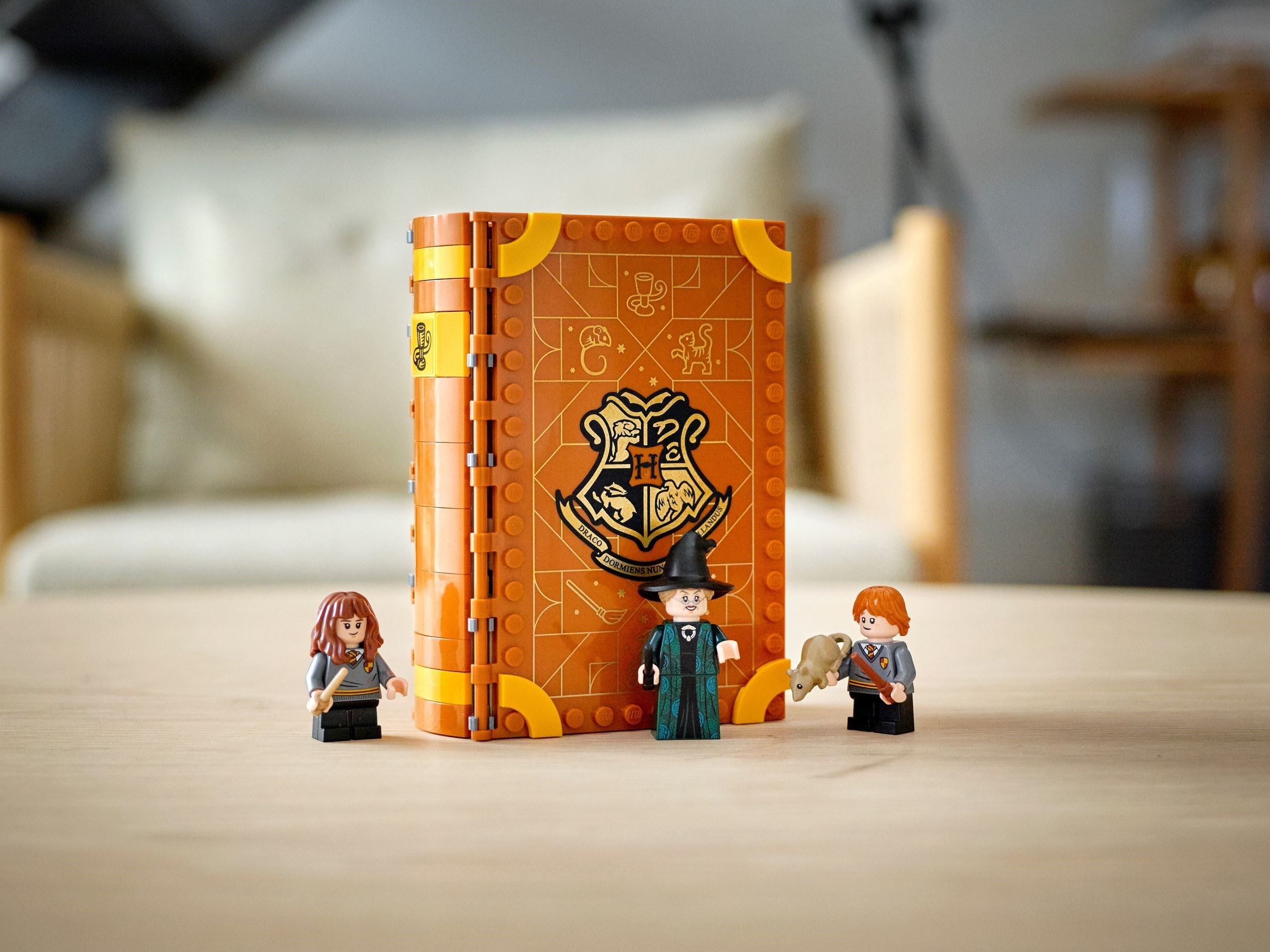 Конструктор LEGO Harry Potter 76382 241 дет. - фото 5
