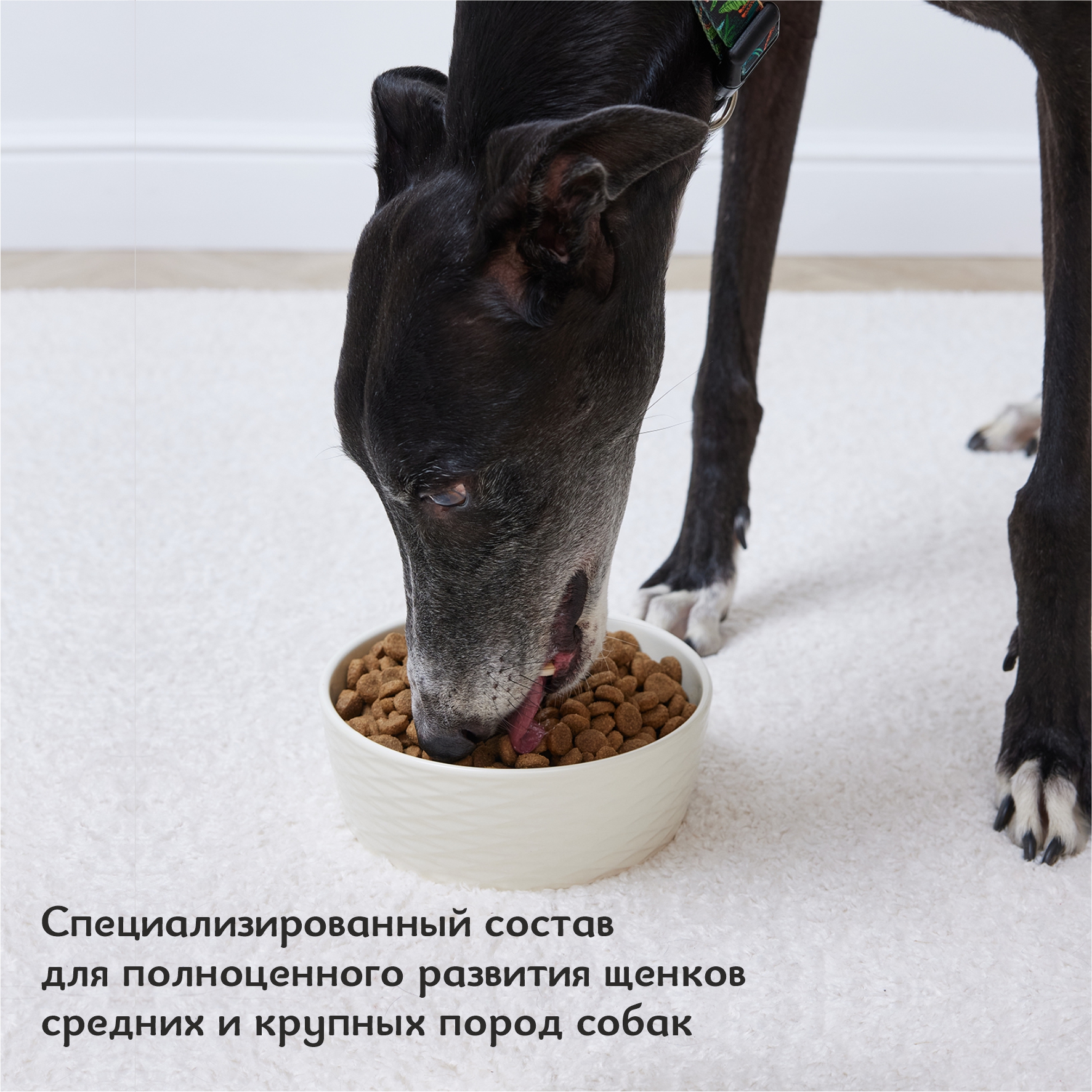 Корм для щенков Roybis 1кг с ягненком сухой полнорационный для средних и крупных пород - фото 8