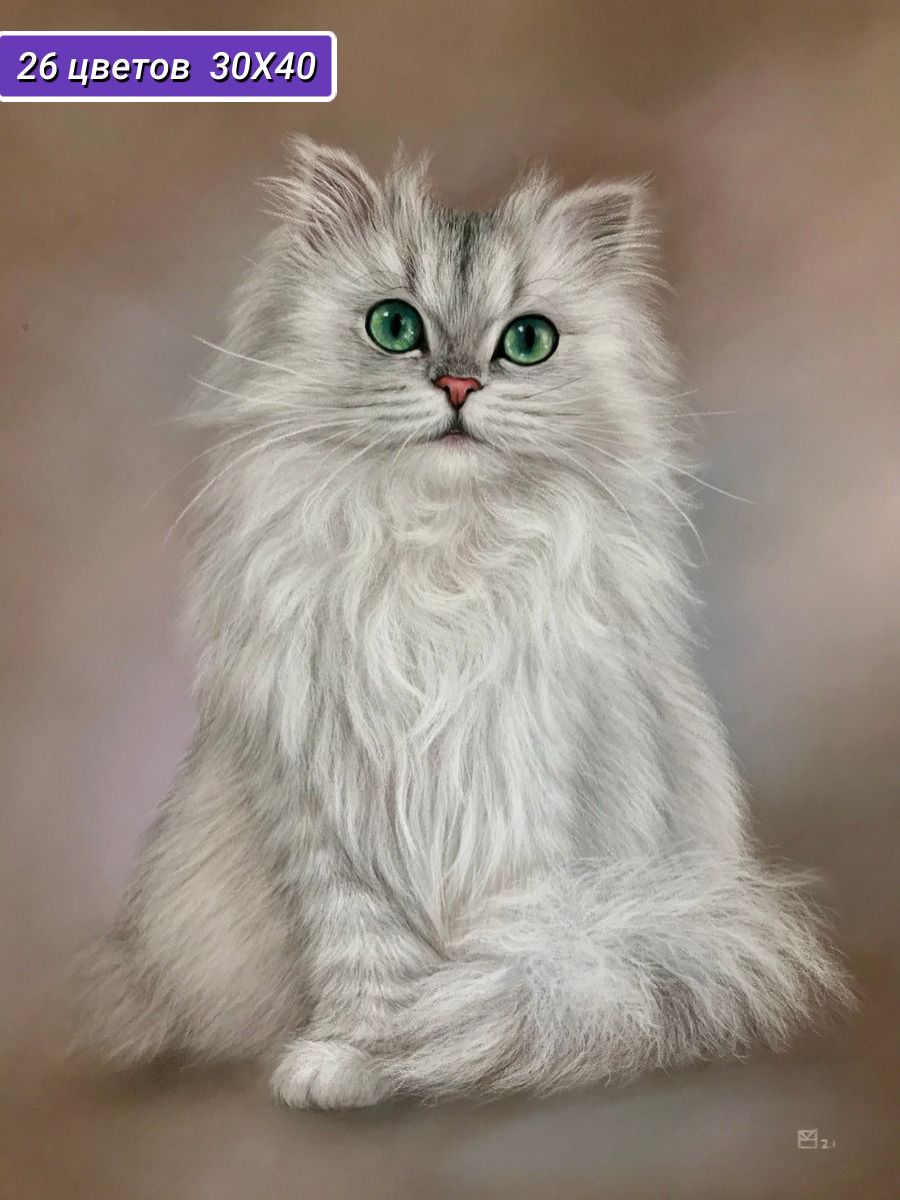 Алмазная мозаика Cristyle Кошка Бьянка - фото 1
