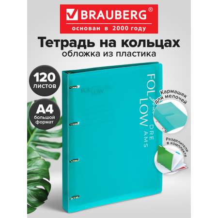 Тетрадь со сменным блоком Brauberg клетка 120 лист.