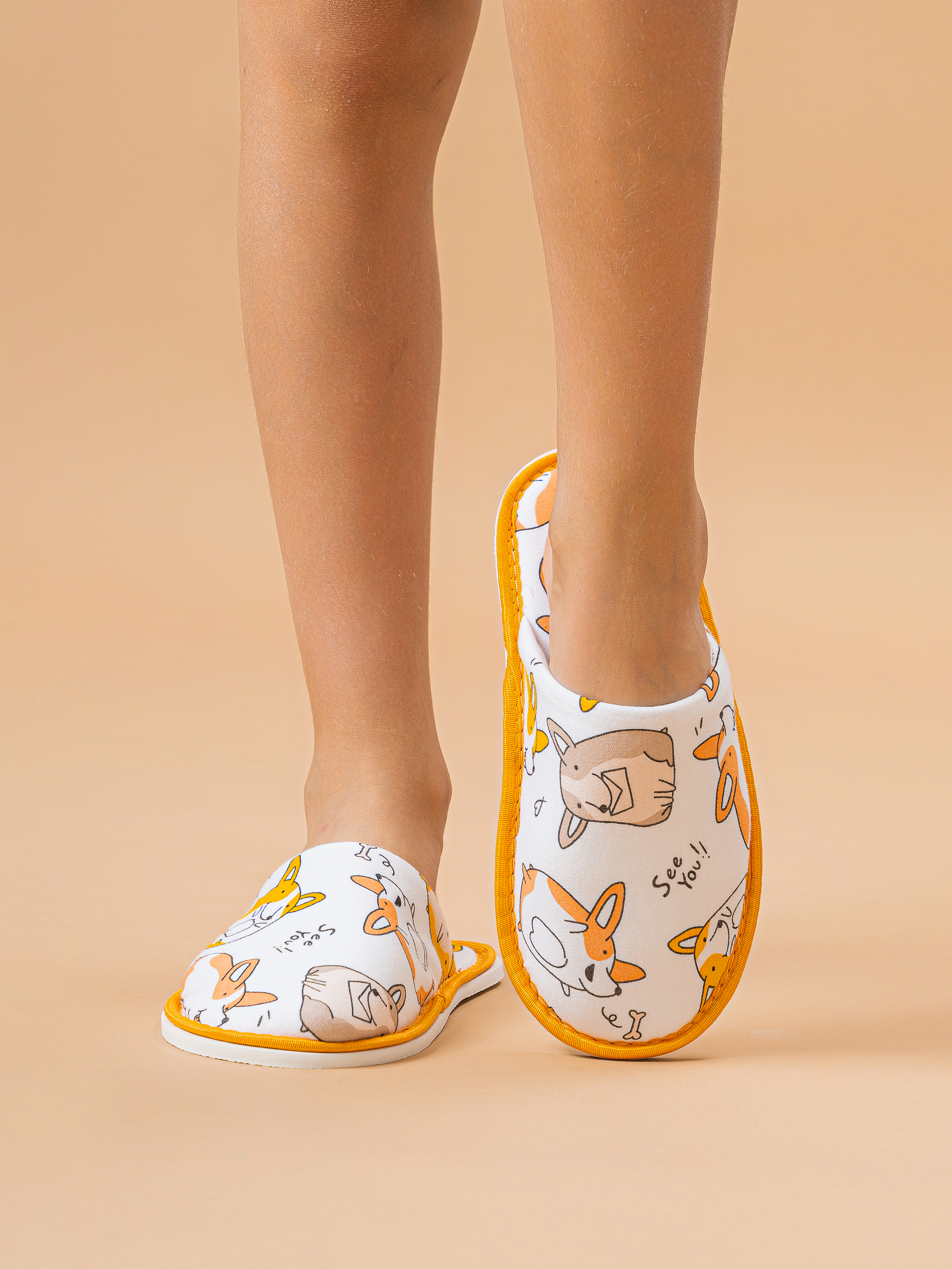 Тапочки IVShoes С-6ДМ(мл)-МР/корги - фото 1