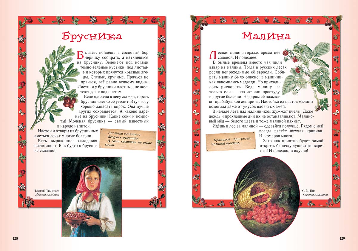 Книга Белый город Прогулки по лесу. - 2-е изд. - фото 10