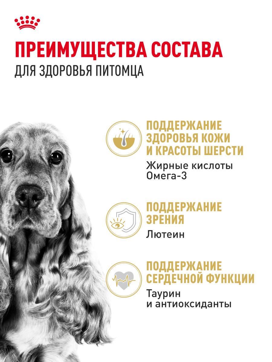 Корм для собак ROYAL CANIN Cocker породы кокер 3кг - фото 3