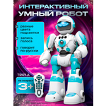 Робот РУ MagicStyle