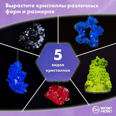 Набор для выращивания WOW! HOW?