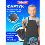 Фартук Пифагор с нарукавниками