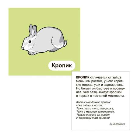 Карточки Учитель Домашние животные