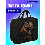 Папка для тетрадей Brauberg А4
