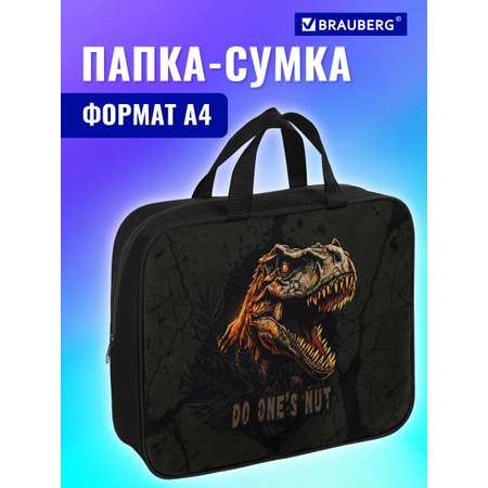 Папка для тетрадей Brauberg А4