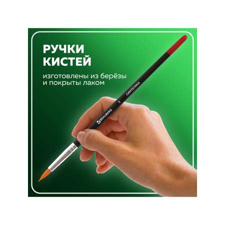 Кисть Brauberg 5 шт. (синтетика)