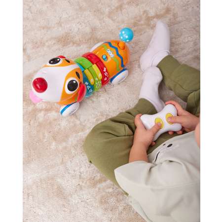 Игрушка BabyGo Радужный щенок 1142-NL