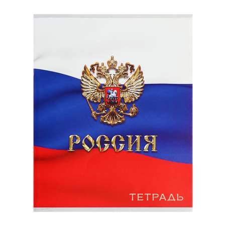 Общая тетрадь Calligrata клетка 96 лист. 4 шт.