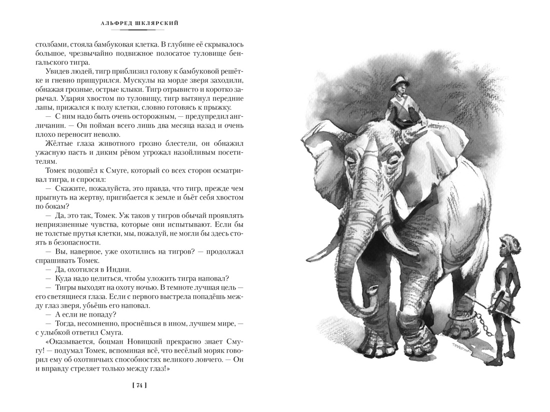 Книга АЗБУКА Шклярский А. Томек в стране кенгуру и другие удивительные приключения - фото 20