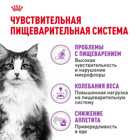 Корм сухой для кошек ROYAL CANIN Sensible 33 2кг с чувствительной пищеварительной системой