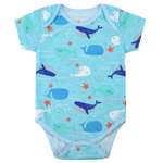 Боди Растемка