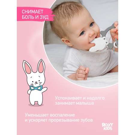 Прорезыватель ROXY-KIDS