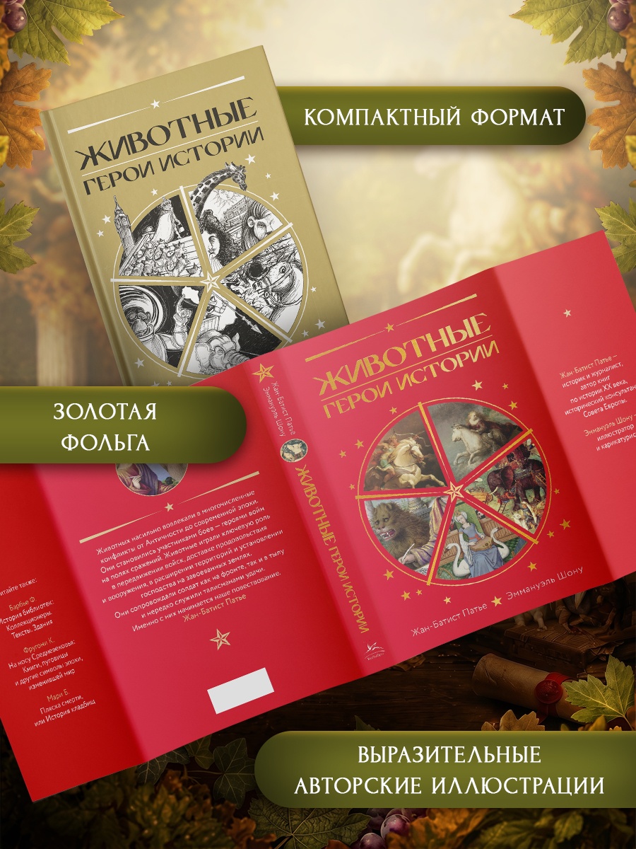 Книга КОЛИБРИ ИстИнт Патье Ж Шону Э Животные Герои истории - фото 7