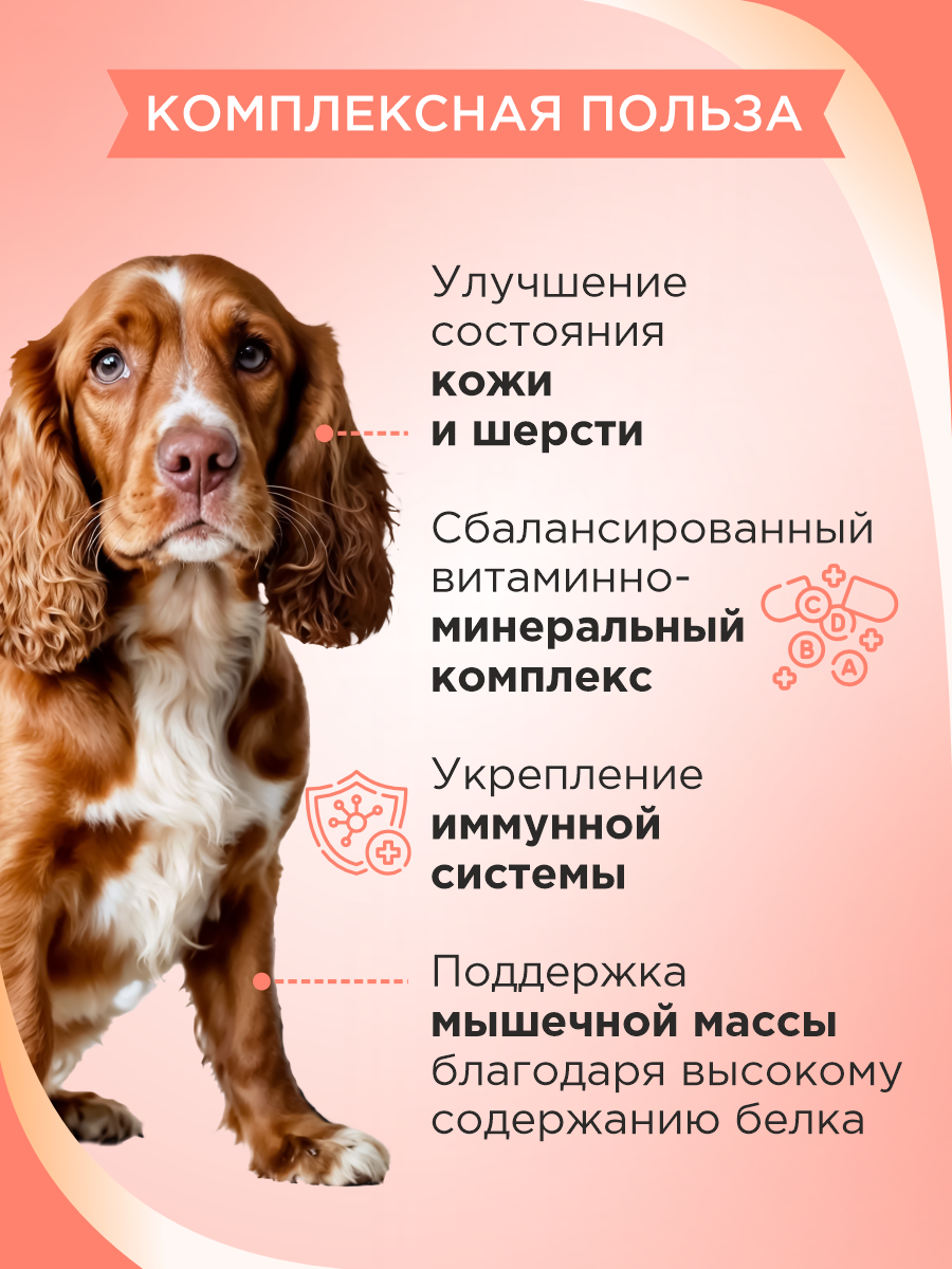 Полезное лакомство для собак GOODR DOG со вкусом норвежского лосося 90 таб. - фото 3