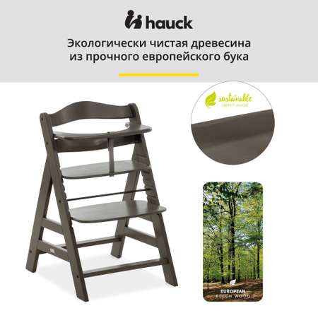Стульчик для кормления Hauck Alpha трансформер