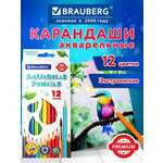 Карандаши акварельные Brauberg 12 шт.