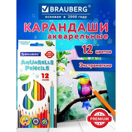 Карандаши акварельные Brauberg 12 шт.