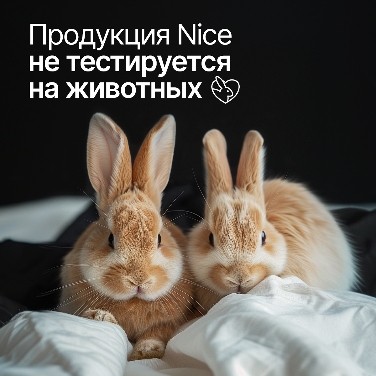 Гель NICE by Septivit For men 1000 мл - фото 9