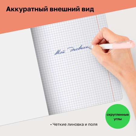 Общая тетрадь BG клетка 4 шт.