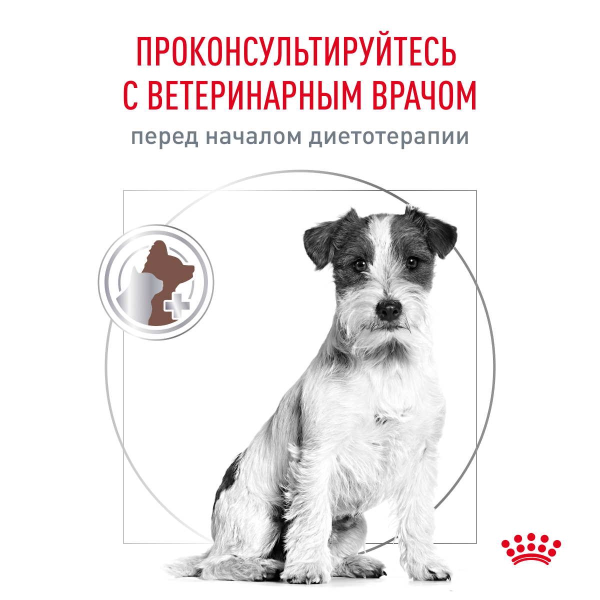 Корм для собак ROYAL CANIN Gastrointestinal low fat мелких пород 1кг - фото 8