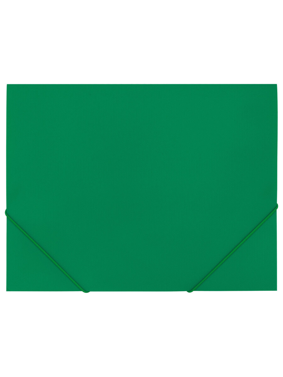 Папка для тетрадей Brauberg на резинках А4 - фото 3