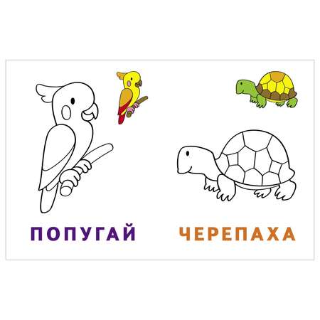 Раскраска-читалка Росмэн Домашние любимцы