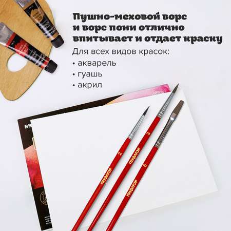 Кисть Пифагор 3 шт. (пони)