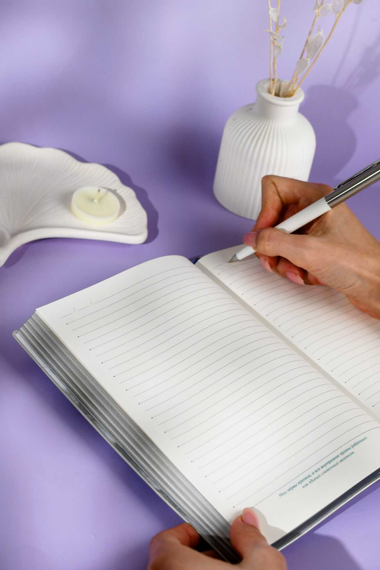 Ежедневник Феникс + ESCALADA 160 лист. - фото 10