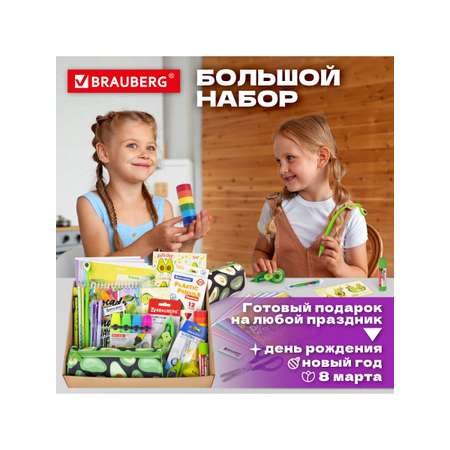 Набор канцелярский Brauberg Avocado 43 предм.