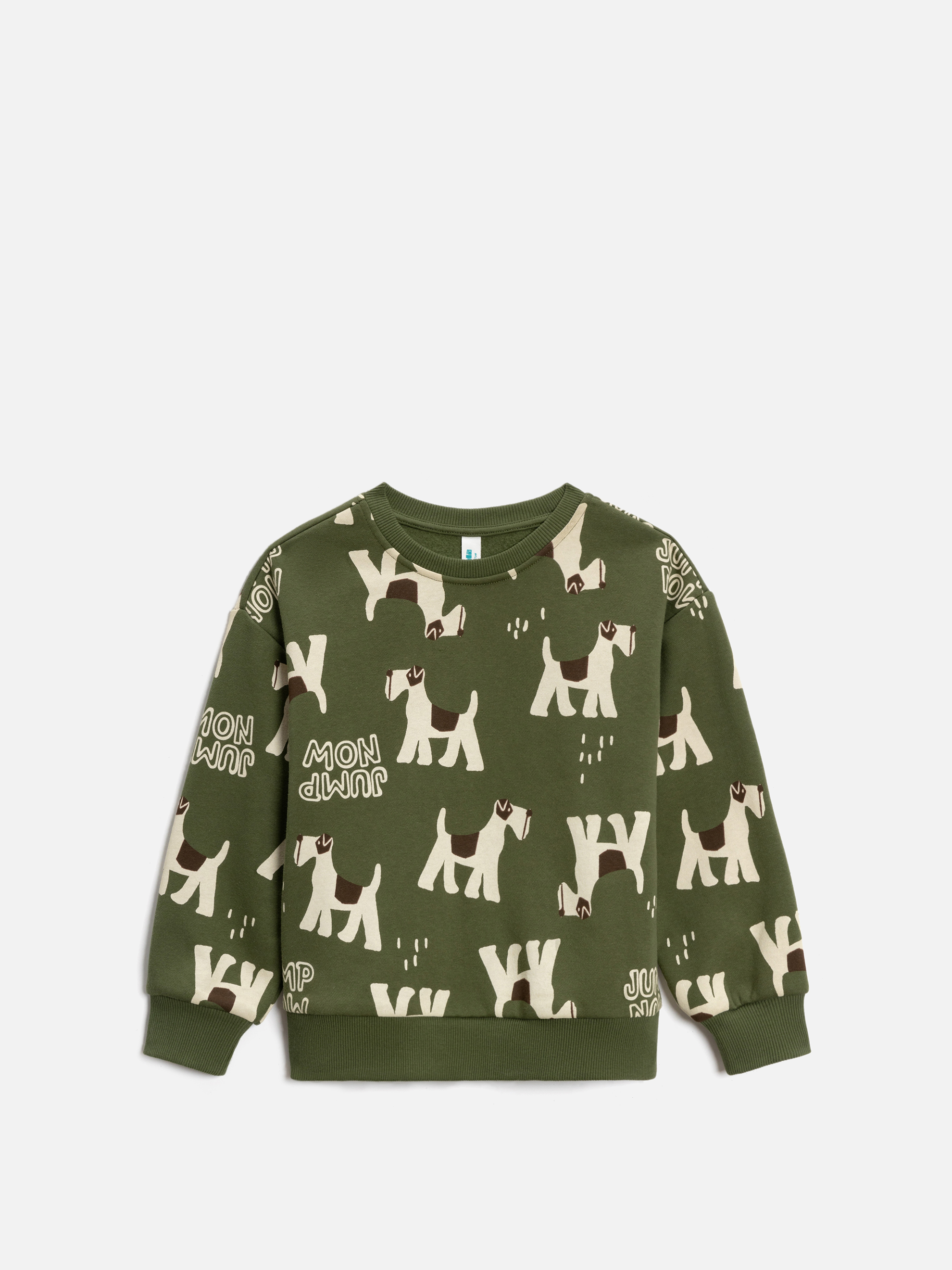 Свитшот Acoola 20120170194_0092499 - фото 3