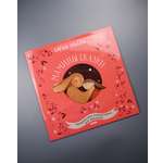 Аудиокнига на виниле Clever пластинка