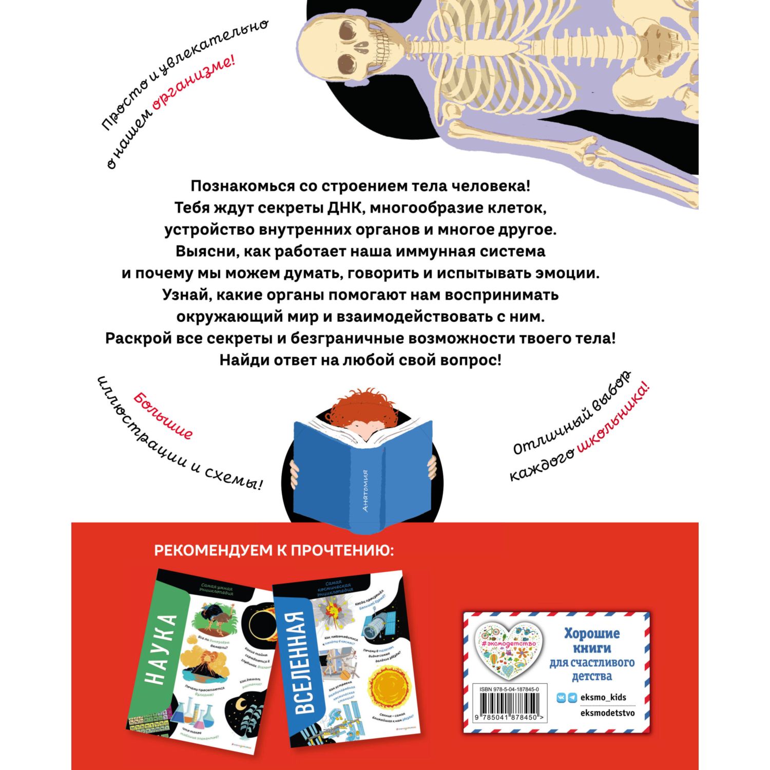 Книга Эксмо Тело человека Самая анатомическая энциклопедия - фото 10