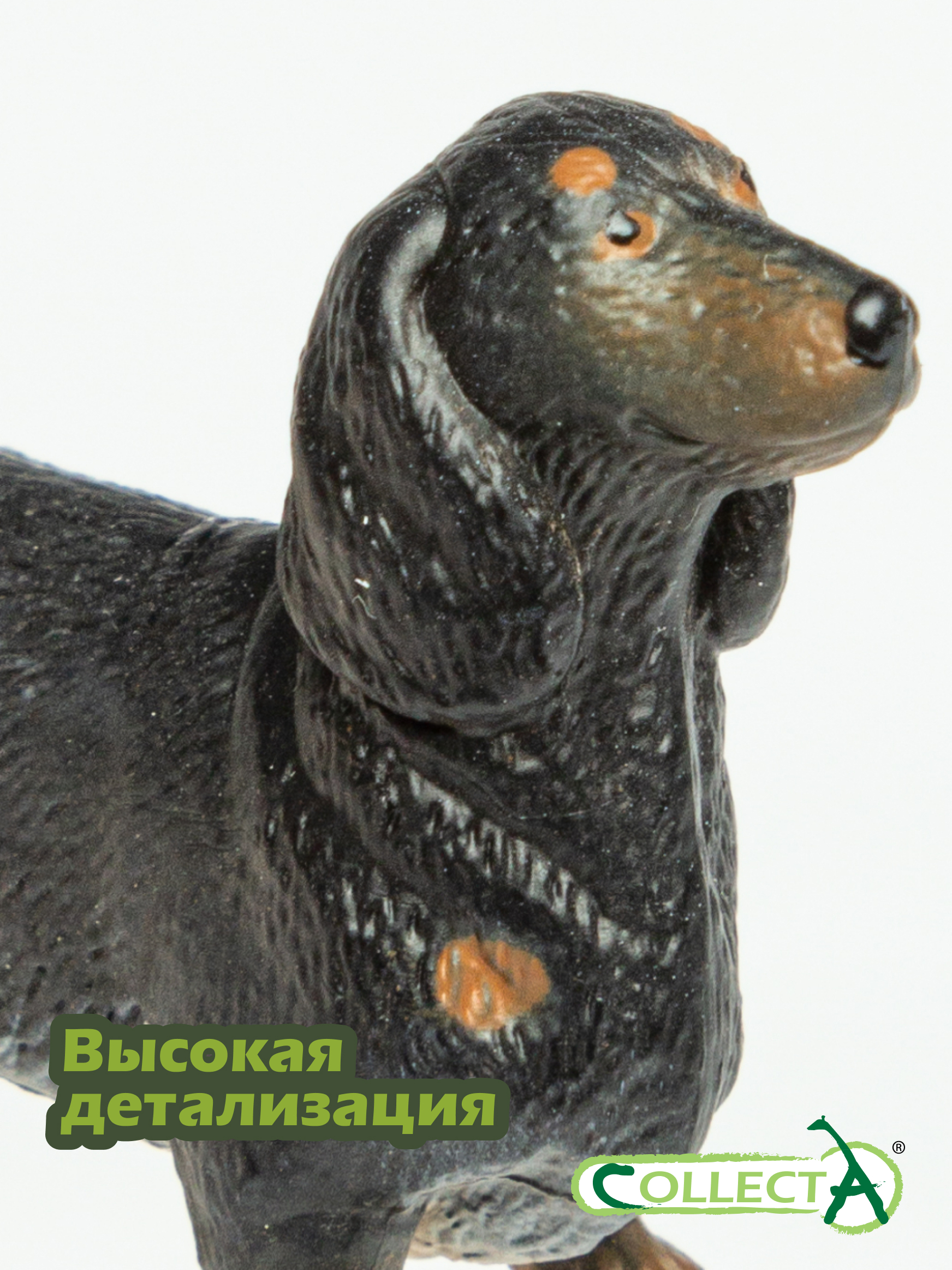 Фигурка Collecta собаки Такса - фото 3