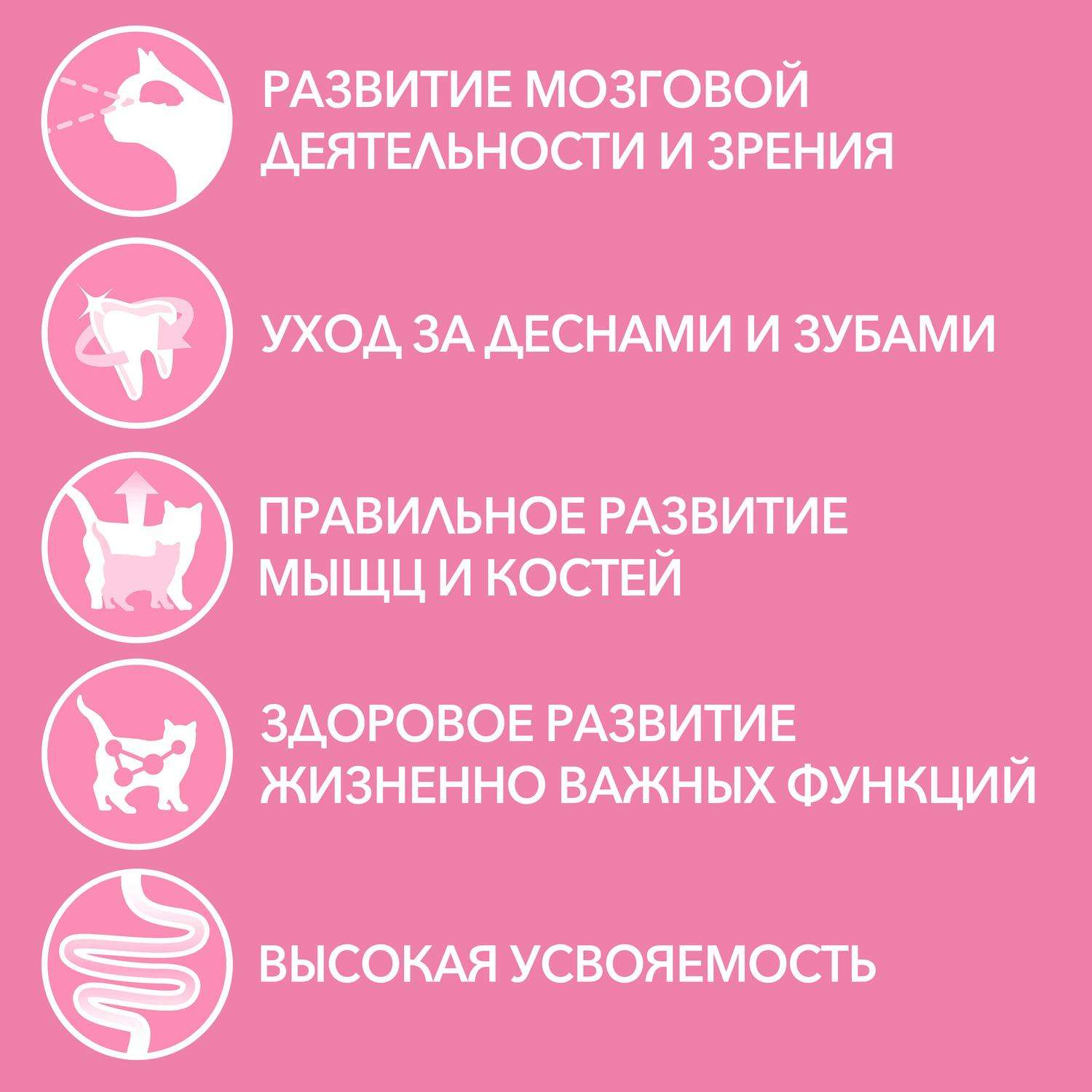 Корм для котят Purina One курица-морковь 75г - фото 4