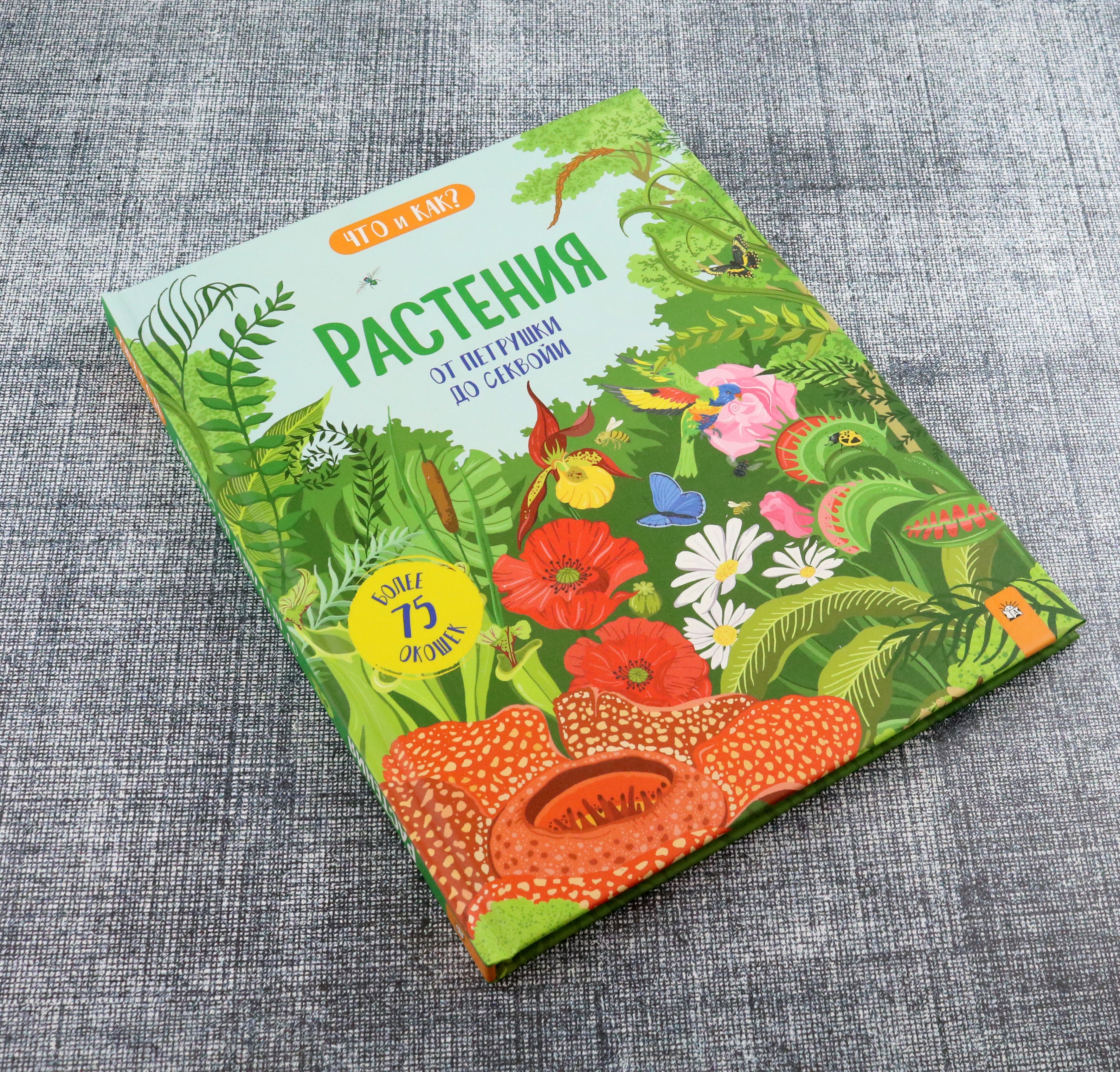 Книга Лабиринт Растения. От петрушки до секвойи - фото 8