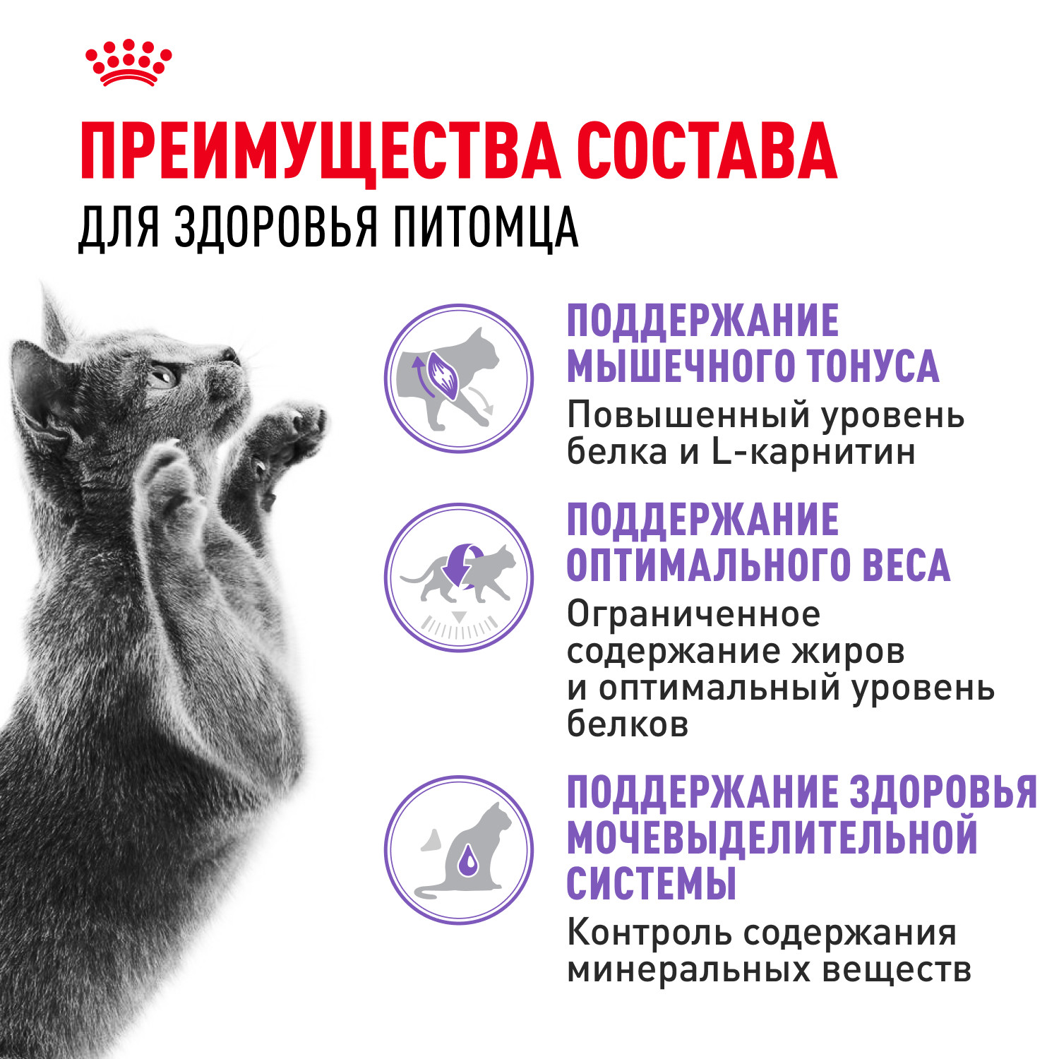 Корм сухой ROYAL CANIN Sterilised 37 4кг для стерилизованных кошек - фото 3