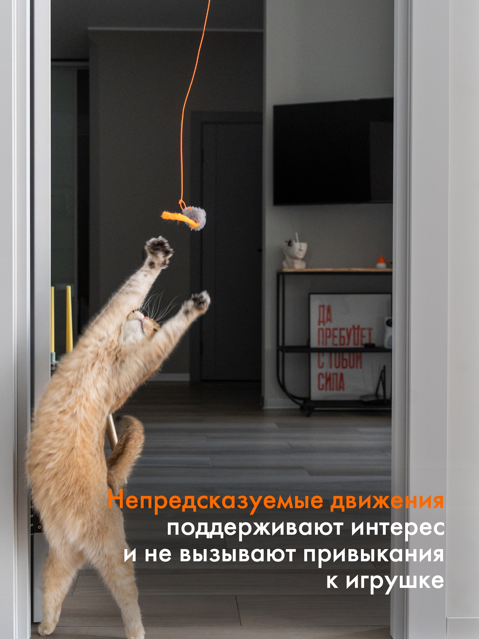 Интерактивная игрушка Pet Flat Умная дразнилка для кошек с мышкой - фото 5