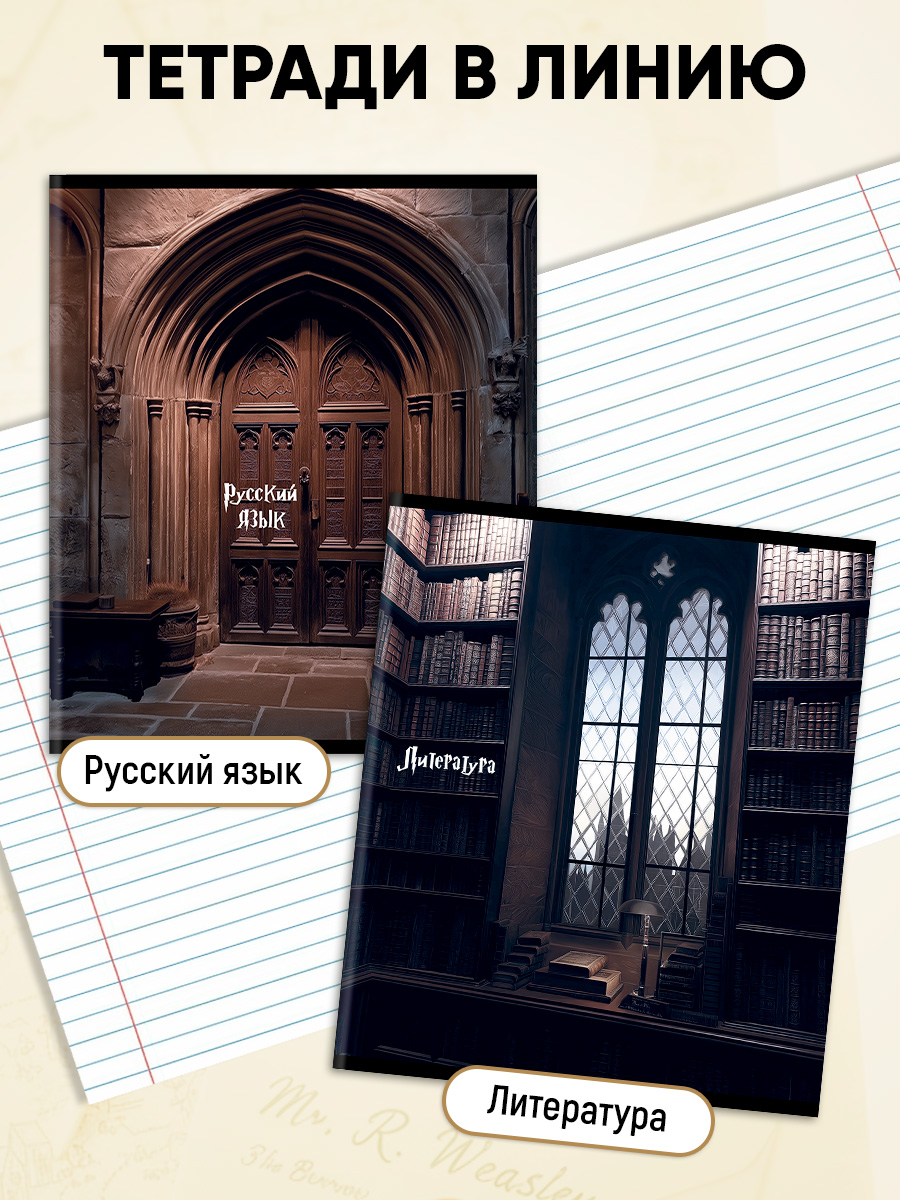 Тетрадь Prof-Press 24 лист. 10 шт. (Иностранный язык, Биология, История, Русский язык, Литература, Алгебра) - фото 3