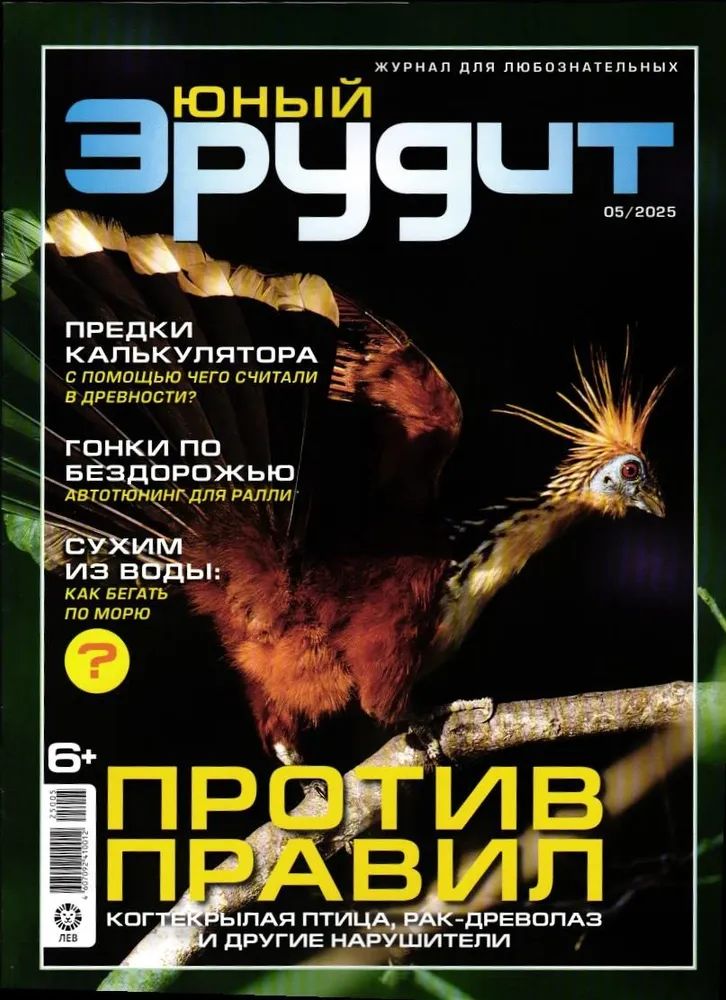 Набор детских журналов ИД Лев Юный эрудит 5/25 и 7/25 - фото 3