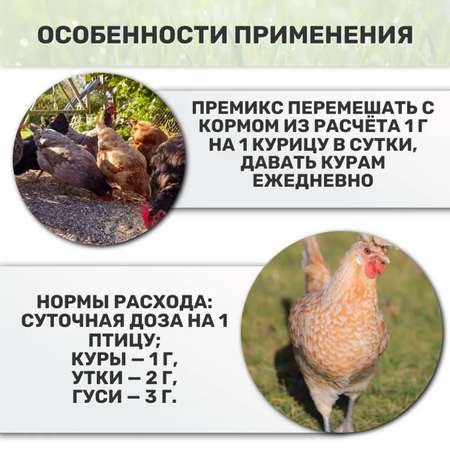 Премикс для кур Ваше Хозяйство Здравур несушка 1500 г