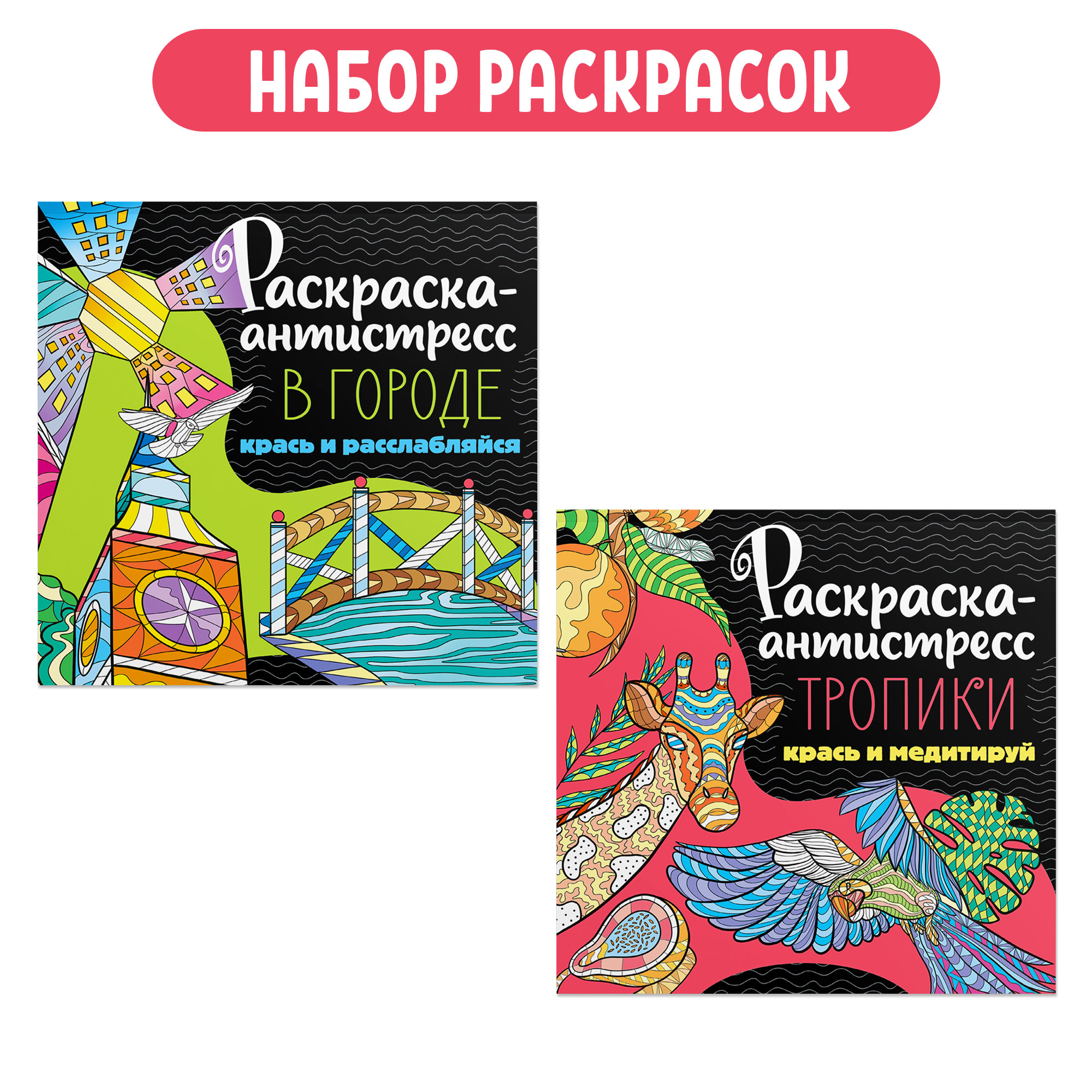 Набор Проф-Пресс Раскраска-антистресс 213Х213. В Городе+Тропики 2шт. - фото 1