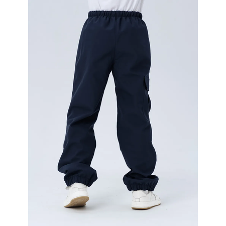 Брюки Lemonwear