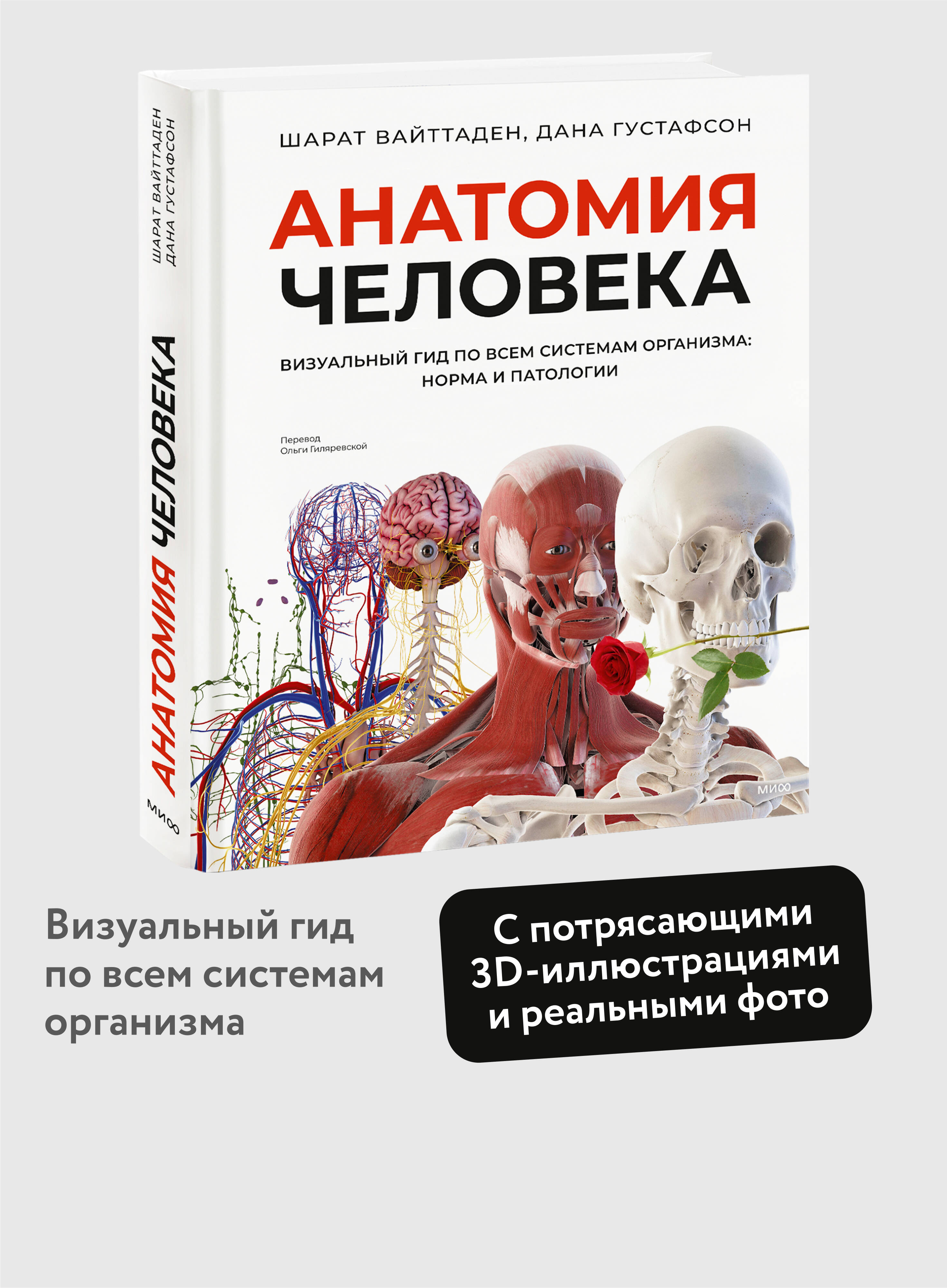 Книга МИФ Анатомия человека. Визуальный гид по всем системам организма: норма и патологии - фото 1