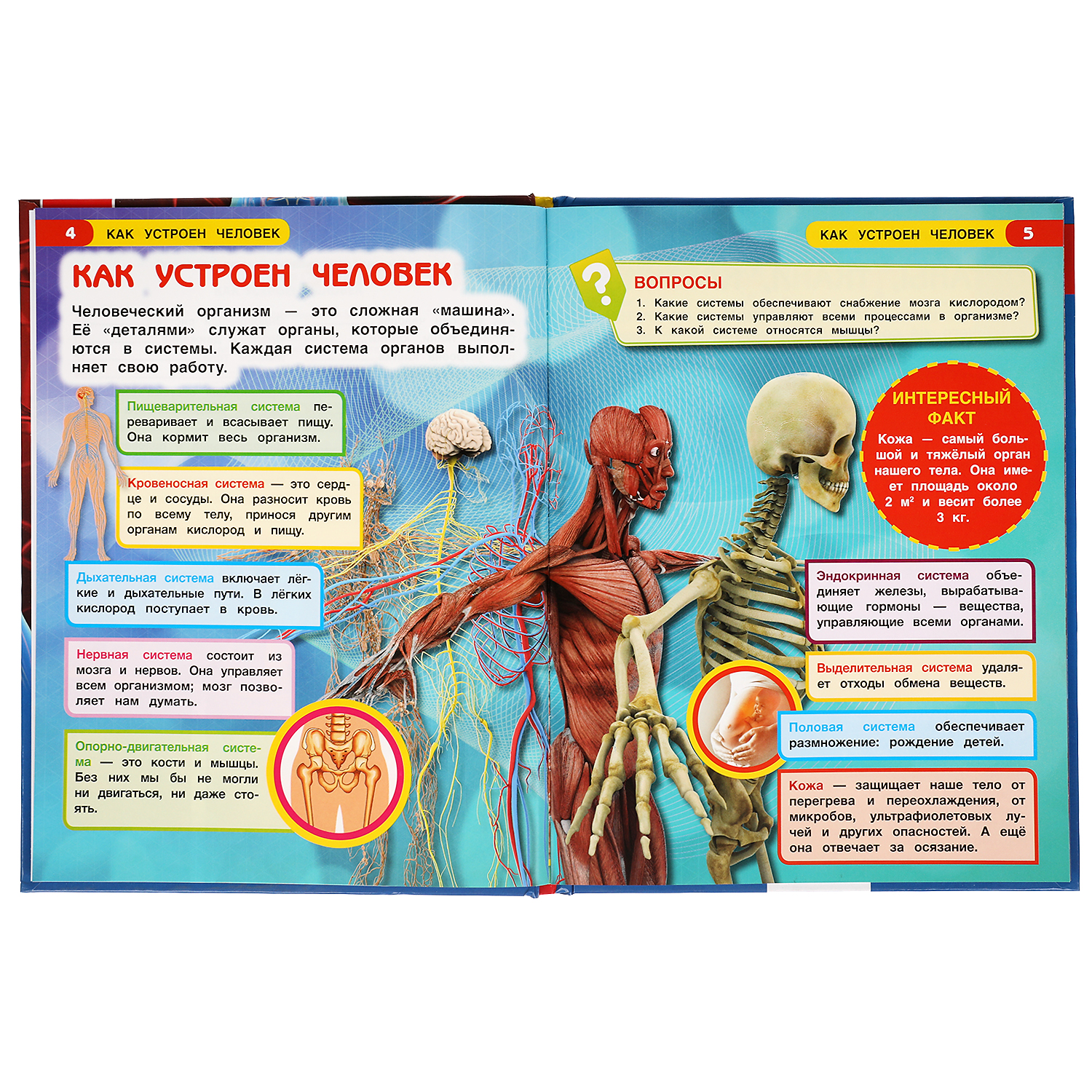 Книга УМка Как устроен человек - фото 3