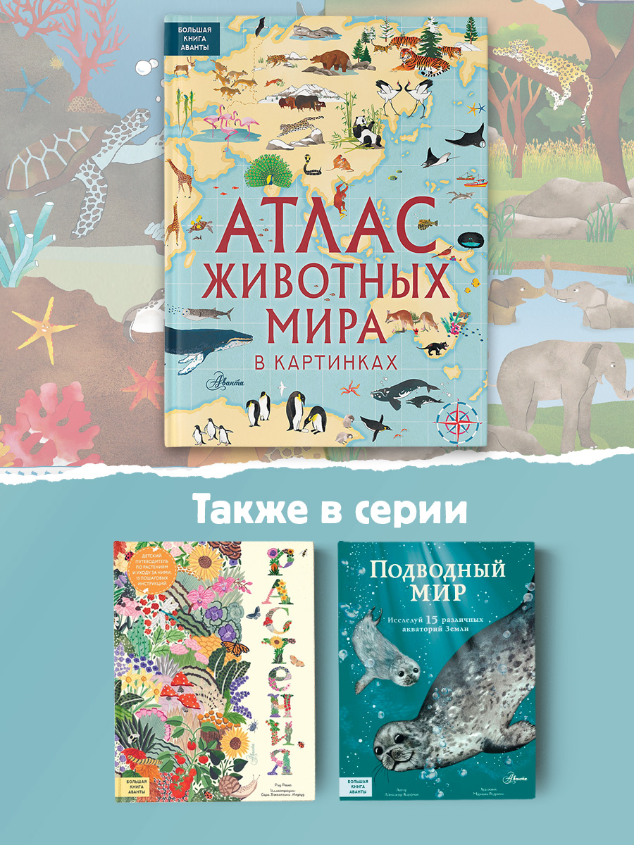 Книга АСТ Атлас животных мира в картинках - фото 4